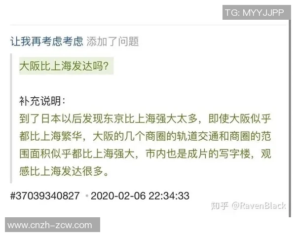 大阪与上海的文化碰撞与经济发展比较探讨